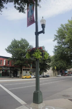 Up The Pole Half Basket Self-Watering Planter 10 Up The Pole Half Basket Self-Watering Planter -Garden Decoration Store UTP Richmond2 1600 89090.1677942453