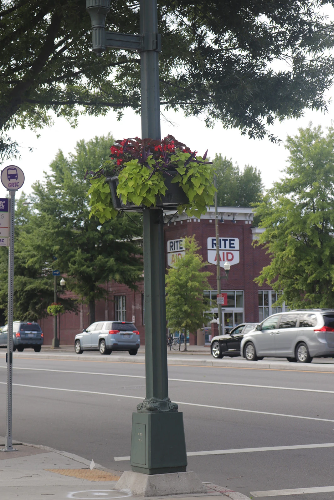 Up The Pole Half Basket Self-Watering Planter 6 Up The Pole Half Basket Self-Watering Planter - Image 6