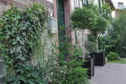 Versailles Planter 9 Versailles Planter -Garden Decoration Store Versailles4 37118.1676036673