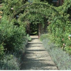 York Garden Arch 15 York Garden Arch -Garden Decoration Store York CX 1 46294.1704032484