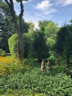 Zoe Garden Gnome -Garden Decoration Store Ziggy Zoe in Garden 64017.1718114718