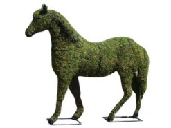 Horse Topiary -Garden Decoration Store a0a38673 c949 4eb3 8c57 cec57e3d4e92 HORSE 31881.1676036640