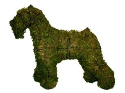 Schnauzer Topiary