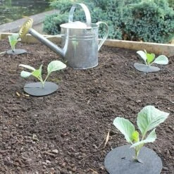 Cabbage Collars Pack Of 20 5 Cabbage Collars Pack Of 20 -Garden Decoration Store cabbage collar bulk new 33935.1676036624