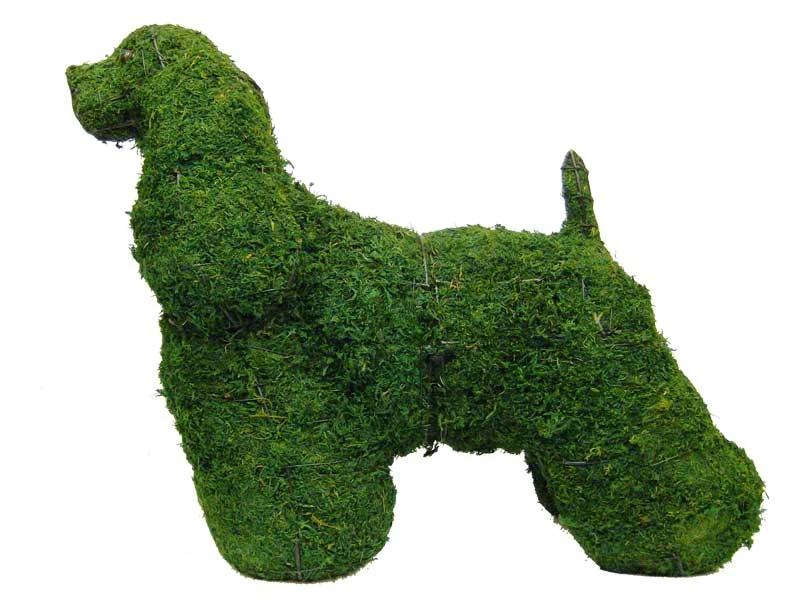 Cocker Spaniel Topiary 1 Cocker Spaniel Topiary