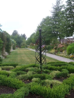 Charleston Rose Pillar 11 Charleston Rose Pillar -Garden Decoration Store charleston fleetwood garden 18804.1709321482