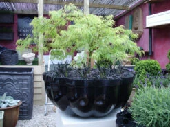 Citadel Planter -Garden Decoration Store citadel glossblack 45501.1680010639