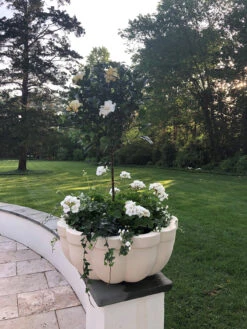 Citadel Planter -Garden Decoration Store citadel solo stone 1600 98844.1680010639