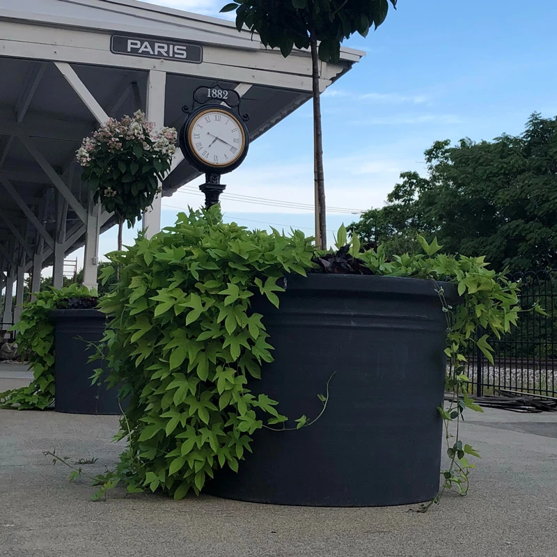 Cylinder Planter 2 Cylinder Planter - Image 2