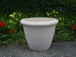 Dorset Bowl Planter -Garden Decoration Store dorset 20 lm 74527.1695250517