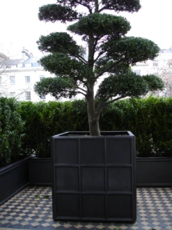 Downing Street Planter 12 Downing Street Planter -Garden Decoration Store downingstreet square FL 59624.1704391088