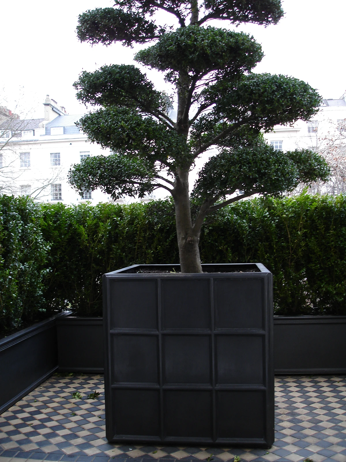 Downing Street Planter 5 Downing Street Planter - Image 5