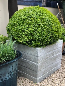 Driftwood Planter -Garden Decoration Store drift60 02969.1676036689