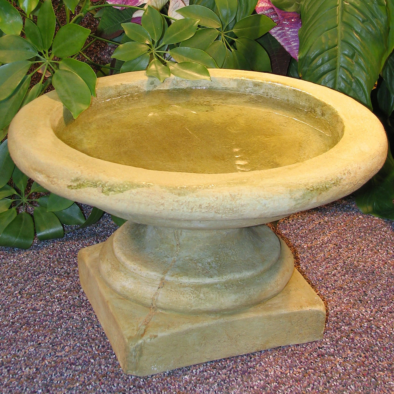 English Bird Bath 1 English Bird Bath