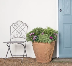 Fern Planter Pot 5 Fern Planter Pot -Garden Decoration Store fern1923 t 2 95063.1676036697