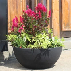 Flat Bottom Bowl Planter -Garden Decoration Store flat bottom in situ 86733.1679426173