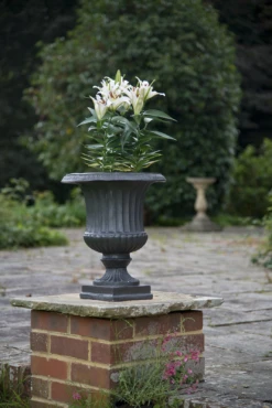 Fluted Urn -Garden Decoration Store flu1605 fl334 1 39964.1676036699