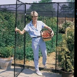 Superior Fruit Cage TBK - 2.5m X 4m (8'2.4" X 13'1.4") -Garden Decoration Store fruit cage door web 1 06726.1706632737