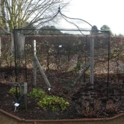 Garden Decoration Store -Garden Decoration Store fruitcage gothic 1 86587.1684508336