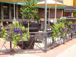 Geo Window Box Planters -Garden Decoration Store geo wbox2 al 42920.1676122290