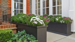 Grosvenor Square, Trough & Round Planters 24 Grosvenor Square, Trough & Round Planters -Garden Decoration Store grosvenor TROUGH planters with osteospermum and capanula 08945.1676036720