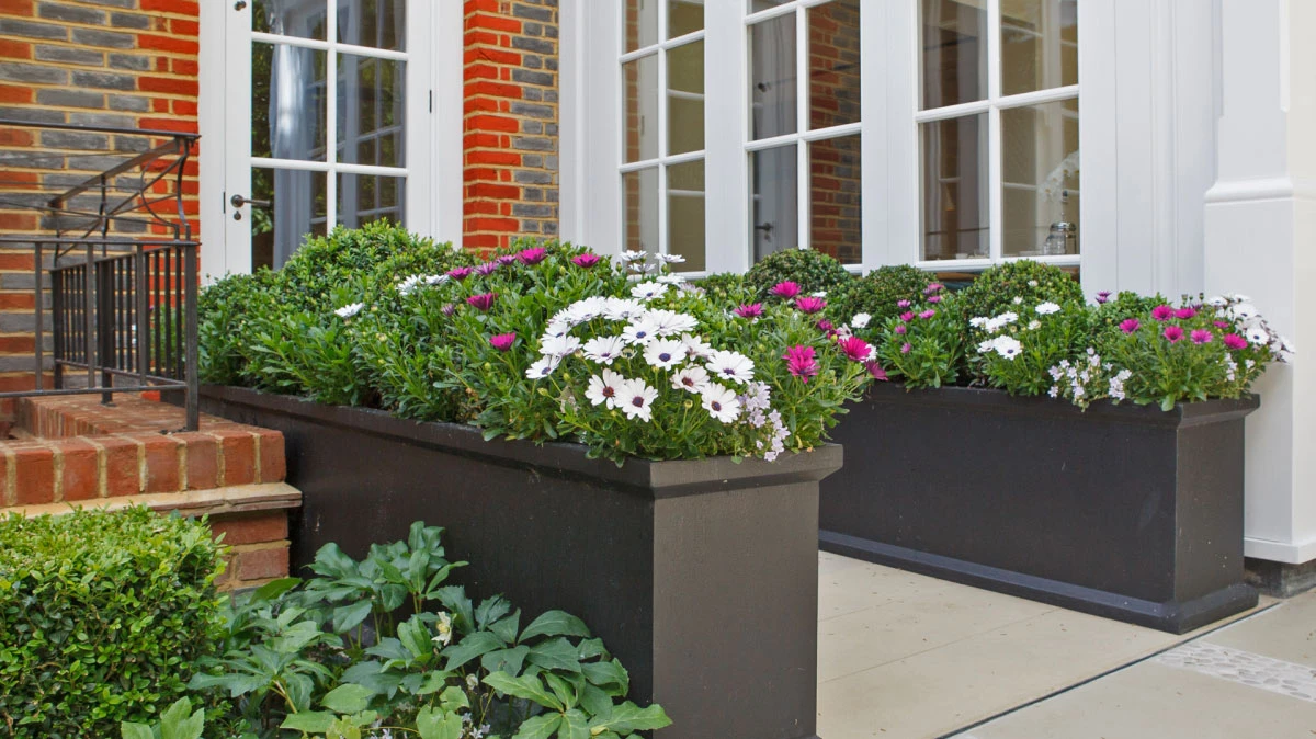 Grosvenor Square, Trough & Round Planters 11 Grosvenor Square, Trough & Round Planters - Image 11