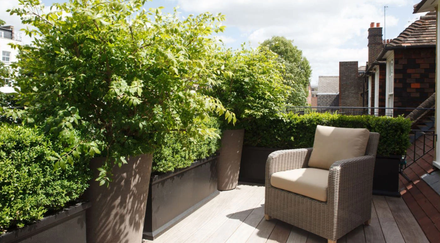 Grosvenor Square, Trough & Round Planters 14 Grosvenor Square, Trough & Round Planters - Image 14