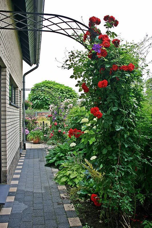 Bagatelle Half Arch 1 Bagatelle Half Arch