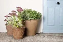 Ivy Planter Pot -Garden Decoration Store ivy1215 t 1 23267.1676140175