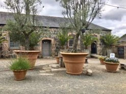 Large Pot -Garden Decoration Store largepot groupinsitu 06880.1676036666