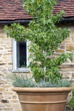 Large Pot -Garden Decoration Store largepot 1 60255.1676036667