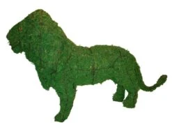 Lion Topiary - Moss Filled - 25" H X 37" L X 12" W