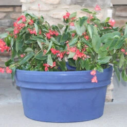 Low Rolled Rim Planter -Garden Decoration Store low rolled rim tn 30658.1679426616