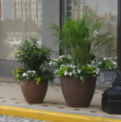 Norman Fiberglass Planter 7 Norman Fiberglass Planter -Garden Decoration Store normansfairfaxsqus3 10154.1676120729