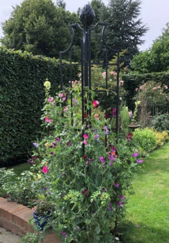 Obelisk II -Garden Decoration Store obelisk ii 7 71604.1676036637