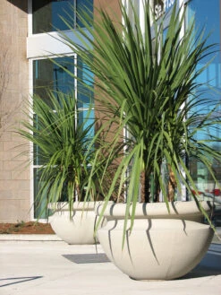 Orchard Bowl Planter 17 Orchard Bowl Planter -Garden Decoration Store orchard 36group lst everett mall 11 10302.1695334942