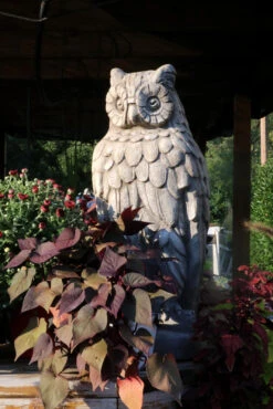 Owl Statue