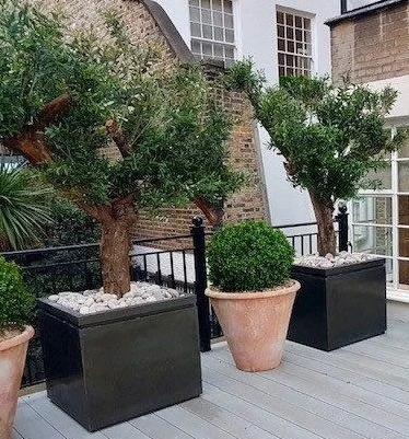 Pall Mall Square Planter 4 Pall Mall Square Planter - Image 4