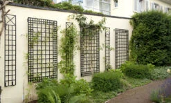 Poundbury Trellis (Wide Wall Trellis) -Garden Decoration Store r9 6f combo 47025.1676036667