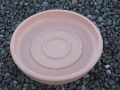 Round Saucer For Concrete Planter -Garden Decoration Store saucer round 10 terra cotta 2 71193.1695344081