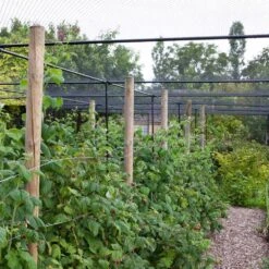 Superior Fruit Cage TBK - 2.5m X 4m (8'2.4" X 13'1.4") -Garden Decoration Store superior fruit cage 1 20089.1706632737