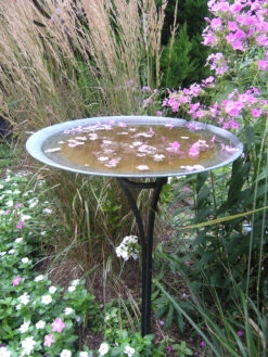 Elegant Copper Birdbath 13 Elegant Copper Birdbath -Garden Decoration Store verdigris BB 1600 74149.1679935860