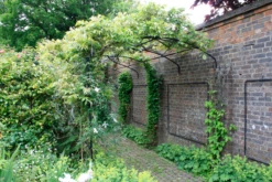 Wall Pergola