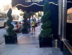 Windsor Fiberglass Planters -Garden Decoration Store windsors black39 80751.1676118012