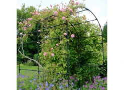 York Pergola -Garden Decoration Store york pergola with pink roses 11460.1704032394