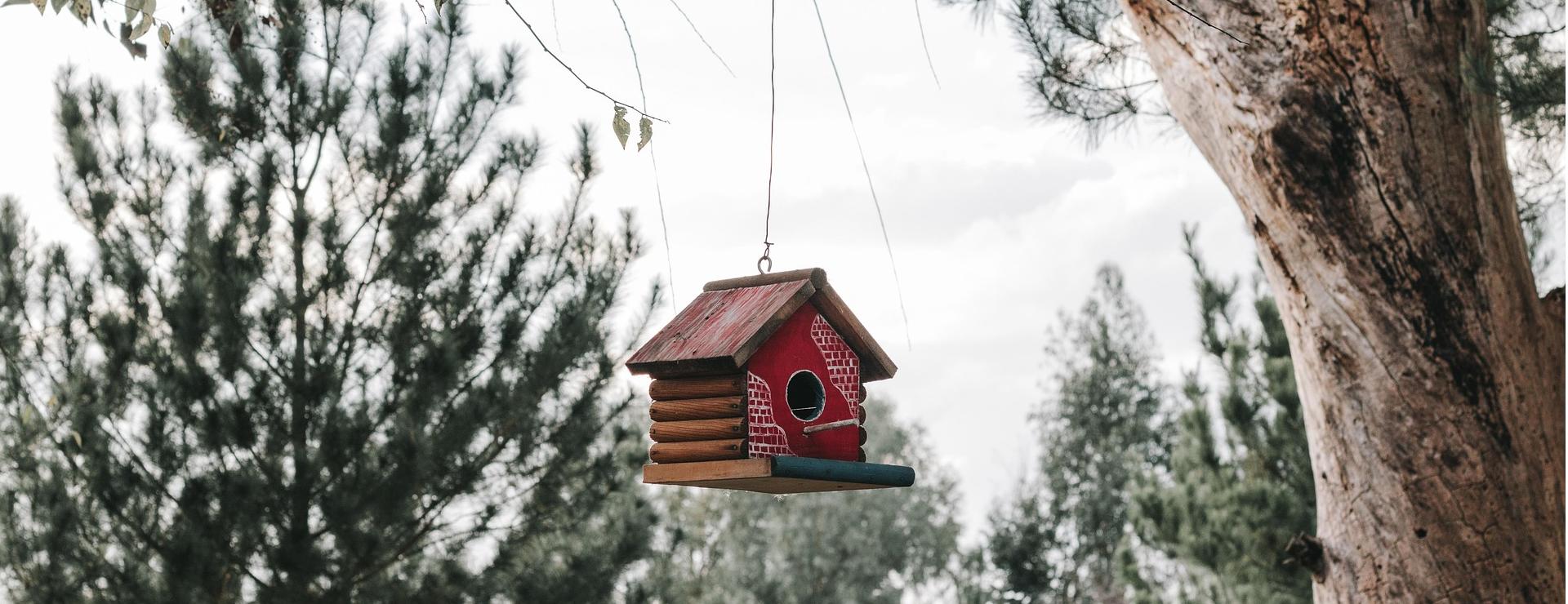 Garden Decoration Store -Garden Decoration Store decoration 5060006 1920